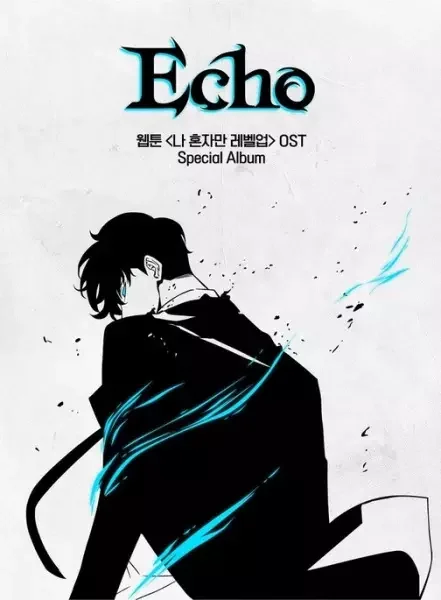 Echo