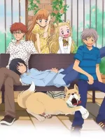 Honey and Clover