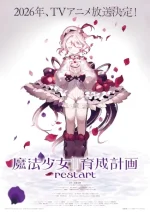 Magical Girl Raising Project