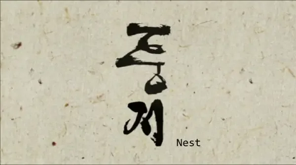 Nest