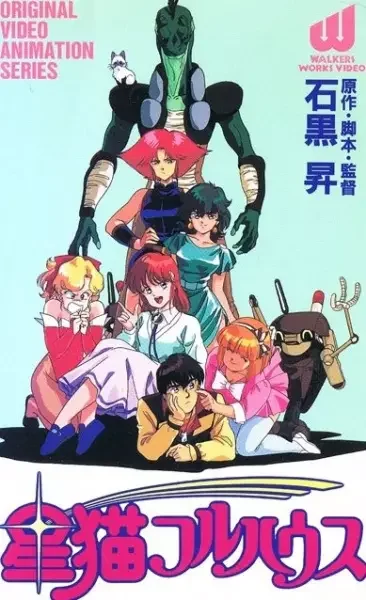 Star Cat Fullhouse