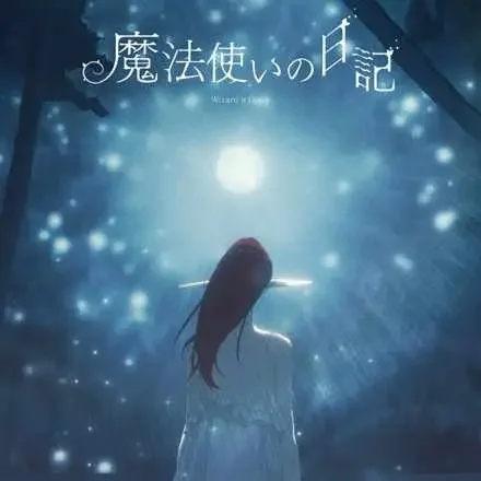 Wizard's Diary