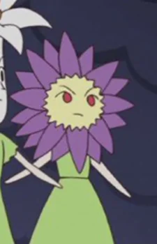 Anemone-san