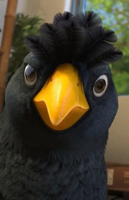 Birdee