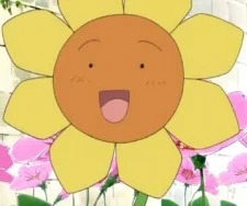 Blossom