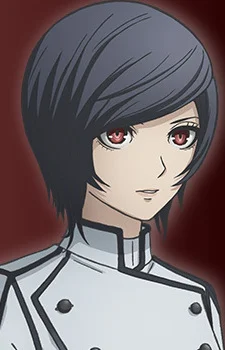 Execution Division Apprentice