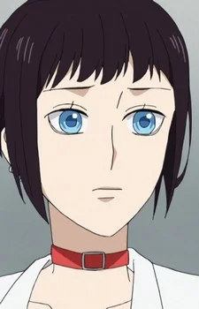 Himezuka, Theo