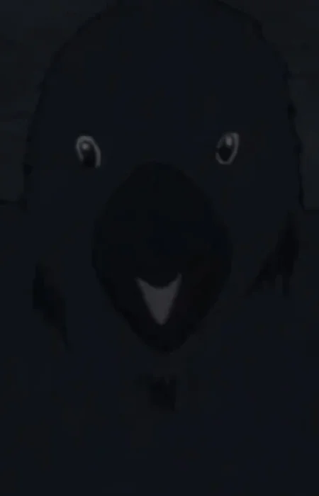 Kuro