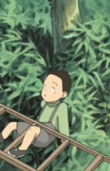 Little Boy B
