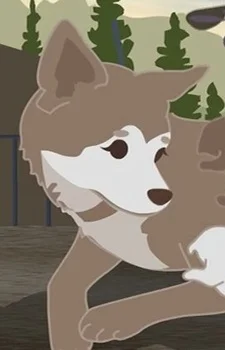Mari