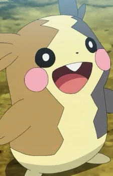 Morpeko