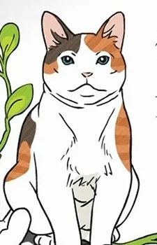 Nekomama