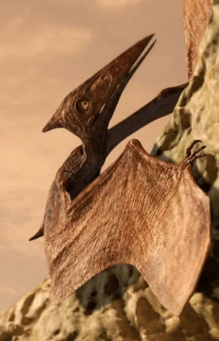 Nemicolopterus