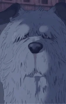 Old Dog