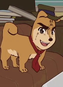 Passionate Human-Faced Dog