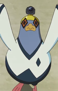 Pigeon