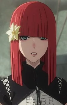 Popola