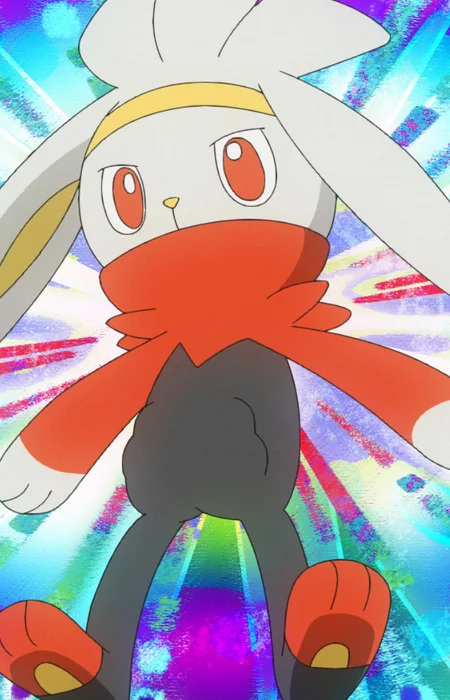 Rabbifuto