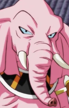 Rumsshi
