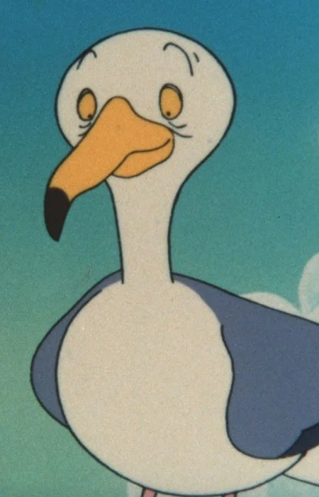 Seagull