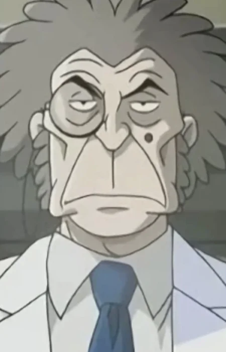 Stein