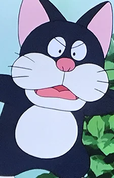 Stray Cat Kuro
