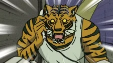 Tiger, Armour
