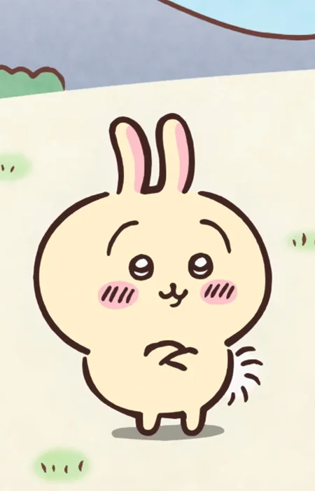 Usagi