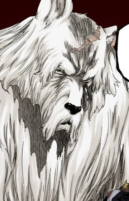 Wolfman Clan Elder
