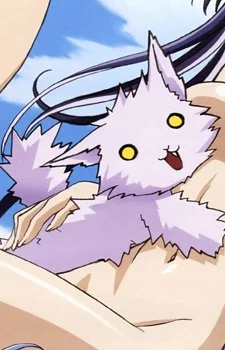 Yamaneko, Kanden